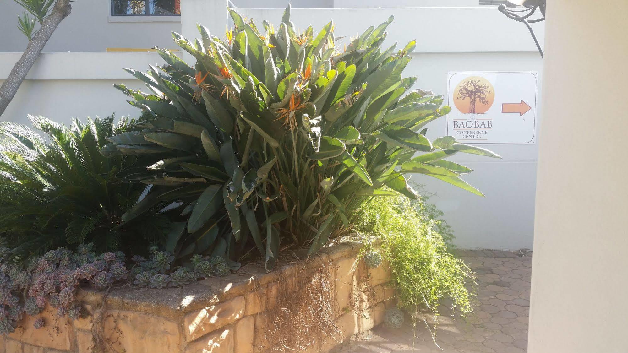 Villa The Baobab Midrand Exterior foto